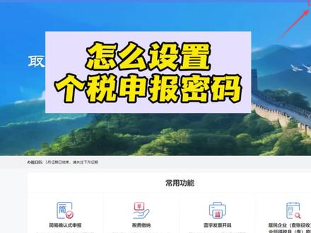 新公司怎么设置个税申报密码#个税申报密码
