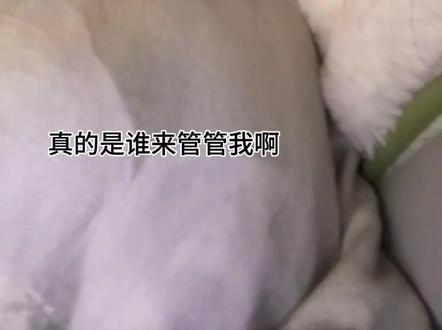 再不睡我也不舒服了。我只能说我只是从一个下班好不容易刷抖视频的牛马的角度出发,我们的注意力该支付给这个事件已经支付了,我的观后感我也发了,希望算法下一条给我推一些其他的新内容,我可以接受新的文学出现 。#不舒服文学 #whd #沈月#丁禹兮