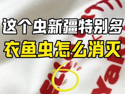 这个虫新疆特别多,衣鱼虫怎么消灭。 最近不少新疆朋友反馈家里频繁出现衣鱼虫,这类小虫在新疆高发并非偶然,而是当地环境、生活特点与衣鱼虫生存习性高度契合的结果,同时它的隐蔽危害也容易被忽视,新疆衣鱼虫高发的核心原因1. 供暖创造恒温宜居环境:新疆冬季寒冷,室内集中供暖让温度长期维持在16-30℃,恰好匹配衣鱼虫的活跃、繁殖温度,冬季室内成了它的“避风港”。2. 局部阴湿微环境易形成:地暖/暖气管道、踢脚线缝隙、水泥层夹缝、衣柜角落等位置,通风差易积潮,满足衣鱼虫对湿度的需求3. 食物来源丰富且易获取:新疆家庭多存放羊毛、羊绒、皮草衣物,再加上书籍、纸张、棉麻织物、毛发、食物残渣等,这些都是衣鱼虫的主要食物,发现衣鱼虫及时处理消灭,选用无味对人宠安全的杀虫剂,不要追着虫子跑,直接喷洒于活动与躲藏区,形成长效药膜,虫子接触就能被消灭。
#衣鱼虫 #新疆衣鱼虫#衣鱼虫是怎么滋生的 #新疆虫子 #衣鱼虫杀虫剂