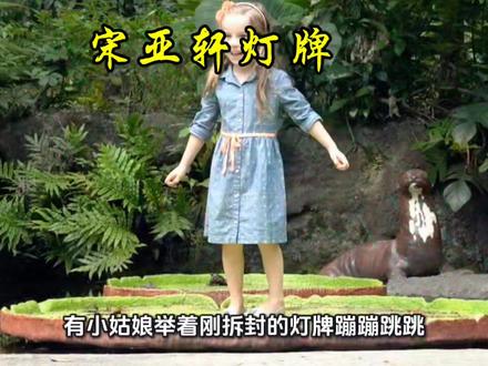 宋亚轩灯牌#分享每一天#娱乐