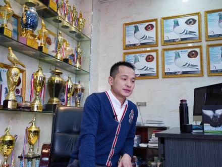 赛鸽鸽眼栉膜究竟有什么奥秘?听听翁总怎么说#赛鸽 #赛鸽鸽眼栉膜 #鸽眼