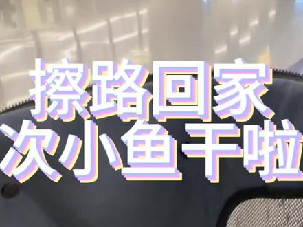 擦路回家 次小鱼干啦#柯尔鸭 #上海话 #抖in萌宠计划 #日常vlog #沪语