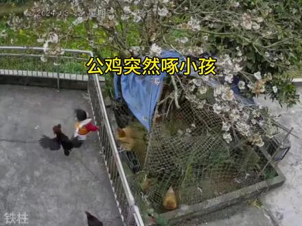 敬酒不吃吃料酒#搞笑 #看一遍笑一遍 #万万想不到