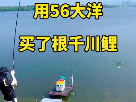 56块钱买的千川鲤,居然买一送一,到底是捡便宜还是上当了?#鱼竿 #户外钓鱼 #千川鲤鱼竿 #渔具用品 #鱼竿渔具