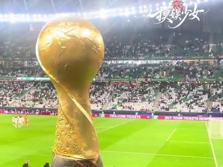 我要真想看比赛我自有渠道#世界杯 #足球 #美加墨世界杯 #中国球迷 #内容过于真实