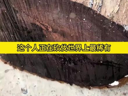 最稀有的木材是用来做什么的?