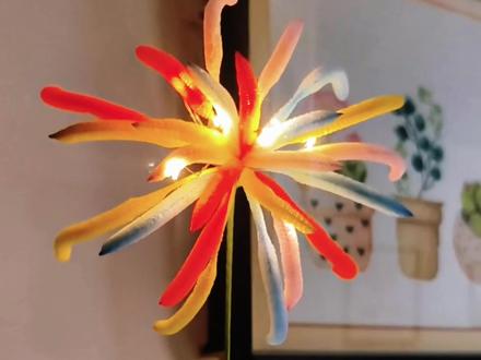 救命!扭扭棒做的烟花也太绝了!
跨年拍照道具天花板,氛围感直接拉满
做法超简单,快动手做起来,跨年发圈稳赢!#手工diy #扭扭棒 #扭扭棒烟花 #教程 #跨年