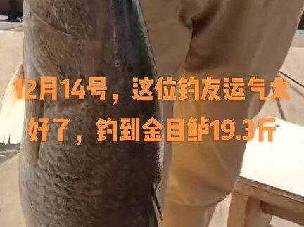 12月14号,波哥收获这一条金目鲈19.3斤,开心咯