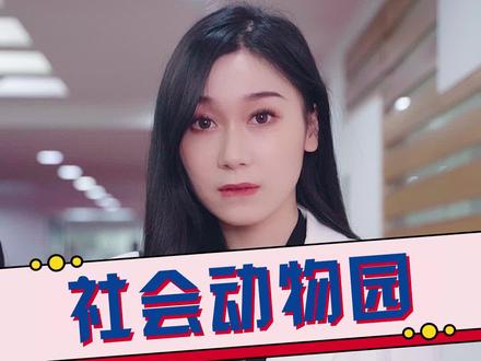 如果把公司当成社会动物园,好像还挺有趣的#交通银行信用卡#社牛 #社恐