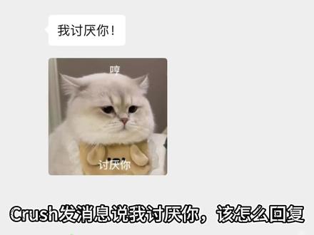 Crush发消息说“我讨厌你”,该怎么回复? #crush聊天记录 #crush降临 #crush #恋爱技巧 #高情商聊天