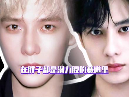 你说胖子都是潜力股,我真的信了一年又一年!!#张凌赫#王安宇#陈飞宇#胡先煦#减肥逆袭