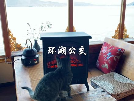 纳帕海真是一个免费景点#香格里拉生活日记
