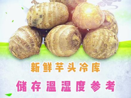 新鲜芋头保鲜冷库储存温湿度要求参考,冷库建造厂家貌盛制冷提供一站式冷库工程安装服务#冷库安装 #保鲜库 #冷链设备 #冷库 #芋头保鲜冷库 冷库建造