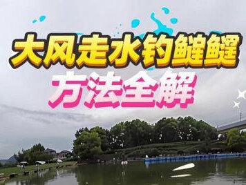 风大走水如何钓好鲢鳙? 走水定不住漂,鲢鳙怎么钓?#原创 #民间艺人攻鲢手浮漂#詹品暴力鲢鳙主线 #猛攻突击鲢四代 #春钓鲢鳙@猛攻官方旗舰店 @詹品官方旗舰店 @民间艺人官方旗舰店