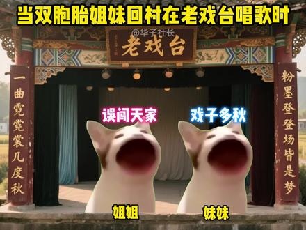 当双胞胎姐妹回村在老戏台唱歌时#误闯天家 #辞九门回忆