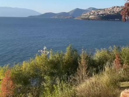 认准intous家白芸豆,夏天的时髦精们赶紧@你的闺蜜一起冲#白芸豆 #intous #美女必备 #吃货日常