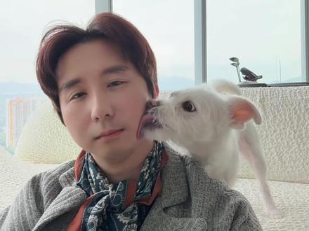 让豆包当媒婆的顶级理解 #狗狗日常 #抖音精选计划 #豆包方言