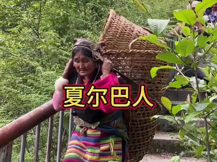 这里是珠峰脚下攀登珠峰的向导夏尔巴人生活的地方夏尔巴人人数最多在尼泊尔小部分在中国,不丹,印度给大家分享夏尔巴人的生活#夏尔巴人 #现场实拍 #登山 #西藏 #陈塘沟