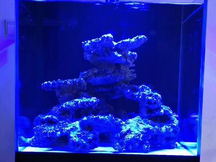 纽斯k7 v3珊瑚灯参数设置日出日落模式。#海缸 #海水鱼珊瑚 #珊瑚灯#抖音小助手#海缸日记