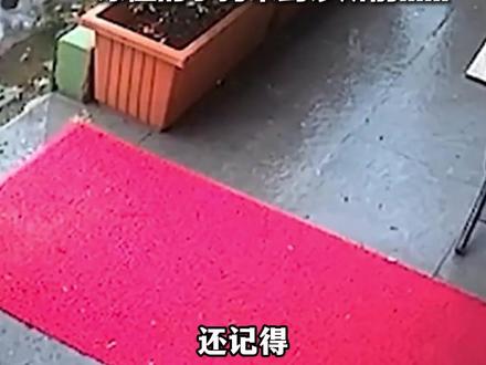 狗妈妈叼着孩子去医院求助#善待动物关爱生命##狗狗 #养狗知识 #养狗知识 #新手养狗 #科学养狗攻略