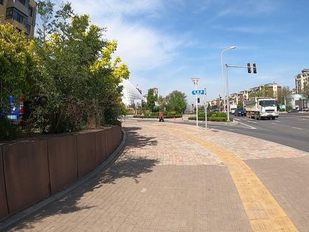 打卡明珠公园,赏城市美景,赞美好生活 #城市公园一角