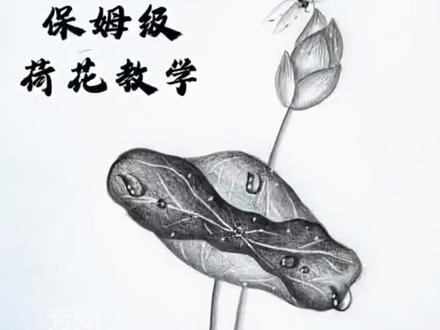 荷花图简单画法#画画#荷花 #素描#简笔画#国画
