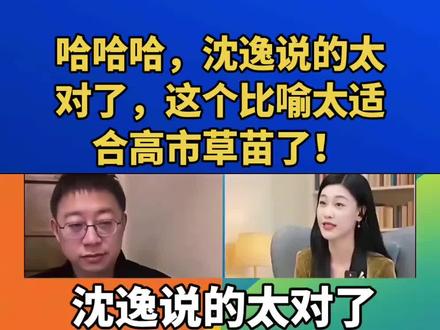 哈哈哈,沈逸说的太对了,这个比喻太适合高市草苗了!