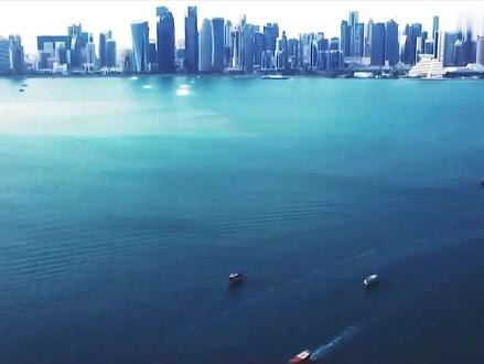 2022年卡塔尔世界杯官方歌曲《C'est la vie》 #足球的魅力 #世界杯歌曲 #精彩进球