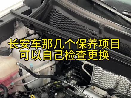 长安车有几个保养项目是可以自己动手检查和更换的,具体教程见主页置顶视频!#长安汽车 #保养 #用车知识