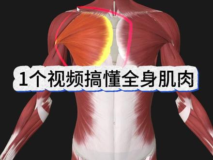 可能是目前最全的讲解视频了