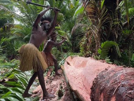 探险阿斯玛特食人族部落 #纪录片#食人族#探险#土著人