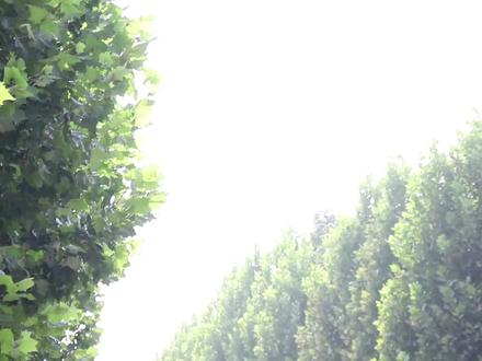 安全教育篇9:欢欢独自进城,没想碰到人贩子,她能成功脱险吗?