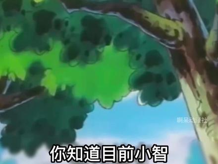 宝可梦:妙蛙种子为什么不进化#童年动画 #精灵宝可梦 #神奇宝贝
