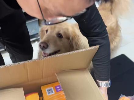 麦富迪乐活狗粮,狗狗吃了一段时间 泪痕浅了,肠胃也好多了,看得见的肉肉和蔬果,营养丰富#狗粮推荐