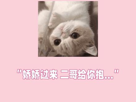 宠!必须给我使劲宠!#超宠女主 #侯门嫡女如珠似宝 #作者风吹小白菜