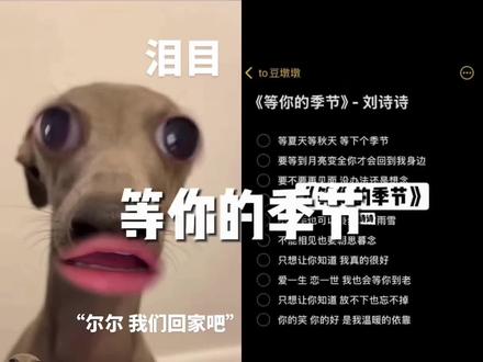 我们都是被困在回忆里的人#等你的季节 #吉时已到 #步步惊心 #我来开唱 #我要上汽水音乐节