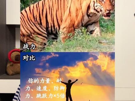正常人各方面强化五倍,赤手空拳能干赢一头成年老虎吗?#格斗 #拳击 #搏击 #老虎 #猛兽 #战斗力 #泰森