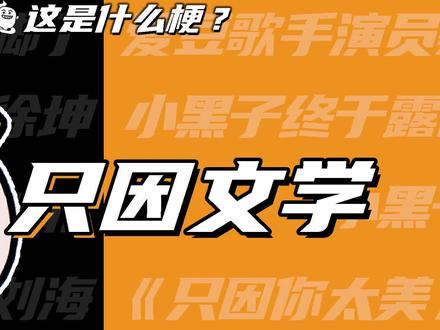 这是什么梗:只因文学