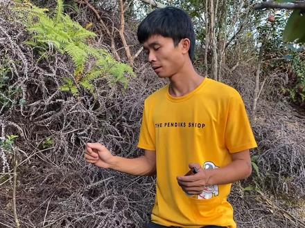 路边遇到窝青米蜂,小伙不穿防蜂服直接盘,挑战成功徒手取下蜂窝