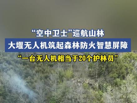 “空中卫士”巡航山林 大堰无人机筑起森林防火智慧屏障 “一台无人机相当于20个护林员”#奉化 #森林防火 #无人机