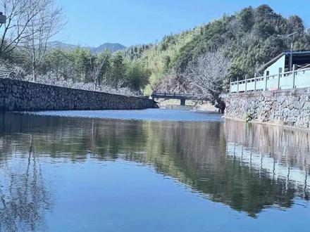 #财神日 来 奉化 吃一碗 #猪头 🐷 #利市 粥!#灵桥牌普通话 #宁波美食