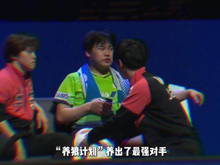 “养狼计划”错了吗,松岛辉空和中国乒乓的渊源有多深 #乒乓球 #松岛辉空 #体育 #体育人物