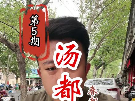 洛阳人为什么爱喝汤?第五期—打卡“春都烧沟路贾记豆腐汤” #我的家乡美食名片 #抖音美好食光 #花开时节又逢君 #董游记