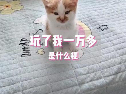 玩了我一万多是什么梗?#抽象 #搞笑 #梗百科