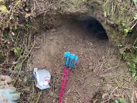 小伙拿“烟花”点燃塞进老鼠洞,将其一网打尽,场面惊心动魄! #一支穿云箭 #一网打尽 #场面惊心动魄 #烟花炸老鼠洞