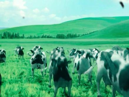 有一个早晨我扔掉了所有的昨天,从此我的脚步就轻盈了#dancingpolishcow #音乐 #俄语#洗脑神曲 #抖音小助手