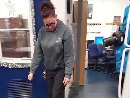 《我出不了南极,你带一只QQ走吧》#动物科普 #知识科普