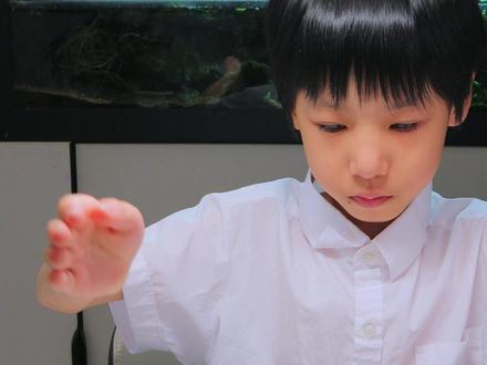 鹦鹉折纸!拿去给小鸟当老婆!(附图纸)