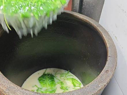 甘肃特色美食浆水完整制作教程,看完让你瞬间化身大厨,哇塞!太好吃啦!#浆水制作方法 #甘肃美食推荐 #美食教程