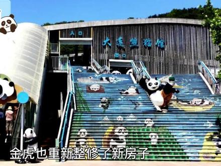 四年前闹翻整个熊猫粉丝圈的乌龙事件,最后甚至还惊动了新华社! #熊猫 #可爱 #动物 #来这吸熊猫